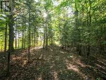 450 Fields Road | Assiginack Ontario | Slide Image Seventeen