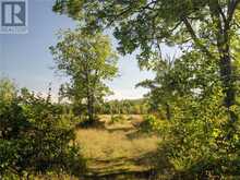 450 Fields Road | Assiginack Ontario | Slide Image Nineteen