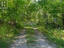 450 Fields Road | Assiginack Ontario | Slide Image Forty-three