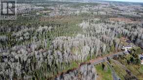 Part 3 Hungarian Road | Greater Sudbury Ontario | Slide Image Twelve