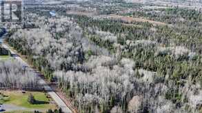Part 3 Hungarian Road | Greater Sudbury Ontario | Slide Image Two