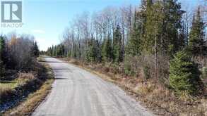 Part 3 Hungarian Road | Greater Sudbury Ontario | Slide Image Seven