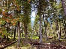 PL4C2 Bidwell Road | Manitoulin Island Ontario | Slide Image Twelve