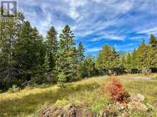 PL4C2 Bidwell Road | Manitoulin Island Ontario | Slide Image Sixteen