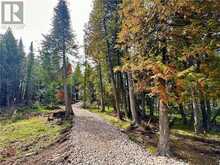 PL4C2 Bidwell Road | Manitoulin Island Ontario | Slide Image Seven