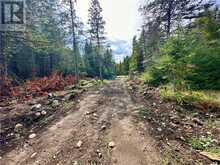 PL4C2 Bidwell Road | Manitoulin Island Ontario | Slide Image Eight