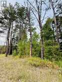 PT LOT 8 PCL 14599A Highway 17 East | Sables-Spanish Rivers Ontario | Slide Image Twelve