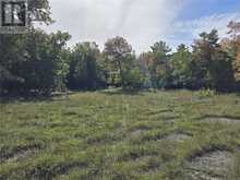 LT 11-12 Bidwell Rd | Assiginack Ontario | Slide Image Twelve