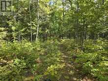 LT 11-12 Bidwell Rd | Assiginack Ontario | Slide Image Thirteen
