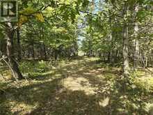 LT 11-12 Bidwell Rd | Assiginack Ontario | Slide Image Four