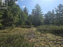 6042 Hwy 61 | French River Ontario | Slide Image Six