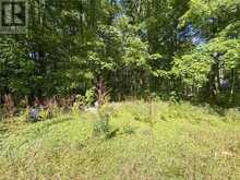 16 Bastien Road | Manitoulin Island Ontario | Slide Image Thirty-three