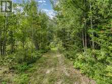 896 RED DEER LAKE ROAD N | Greater Sudbury Ontario | Slide Image Ten