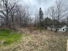 LT 20 Hwy 540 | Manitoulin Island Ontario | Slide Image Two