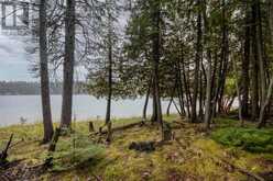 100 Steven | Manitoulin Island Ontario | Slide Image Ten