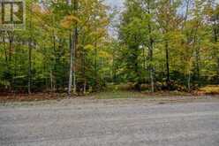 100 Steven | Manitoulin Island Ontario | Slide Image Four