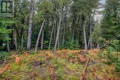 100 Steven | Manitoulin Island Ontario | Slide Image Nine