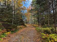 10 Tony Lake | Chapleau Ontario | Slide Image Four