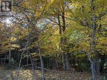 3 Park Street | Manitoulin Island Ontario | Slide Image Six