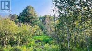 0 Penache Lake | Greater Sudbury Ontario | Slide Image Seven