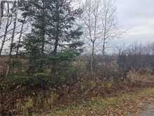 LOT 9 MORGAN Road | Chelmsford Ontario | Slide Image Four