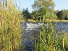 0 SALMON RIVER Road | Roblin Ontario | Slide Image Thirteen