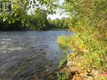 0 SALMON RIVER Road | Roblin Ontario | Slide Image Four