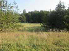 0 SALMON RIVER Road | Roblin Ontario | Slide Image Two