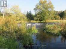 0 SALMON RIVER ROAD | Napanee Ontario | Slide Image Twelve