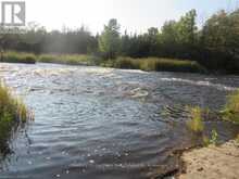 0 SALMON RIVER ROAD | Napanee Ontario | Slide Image Nine