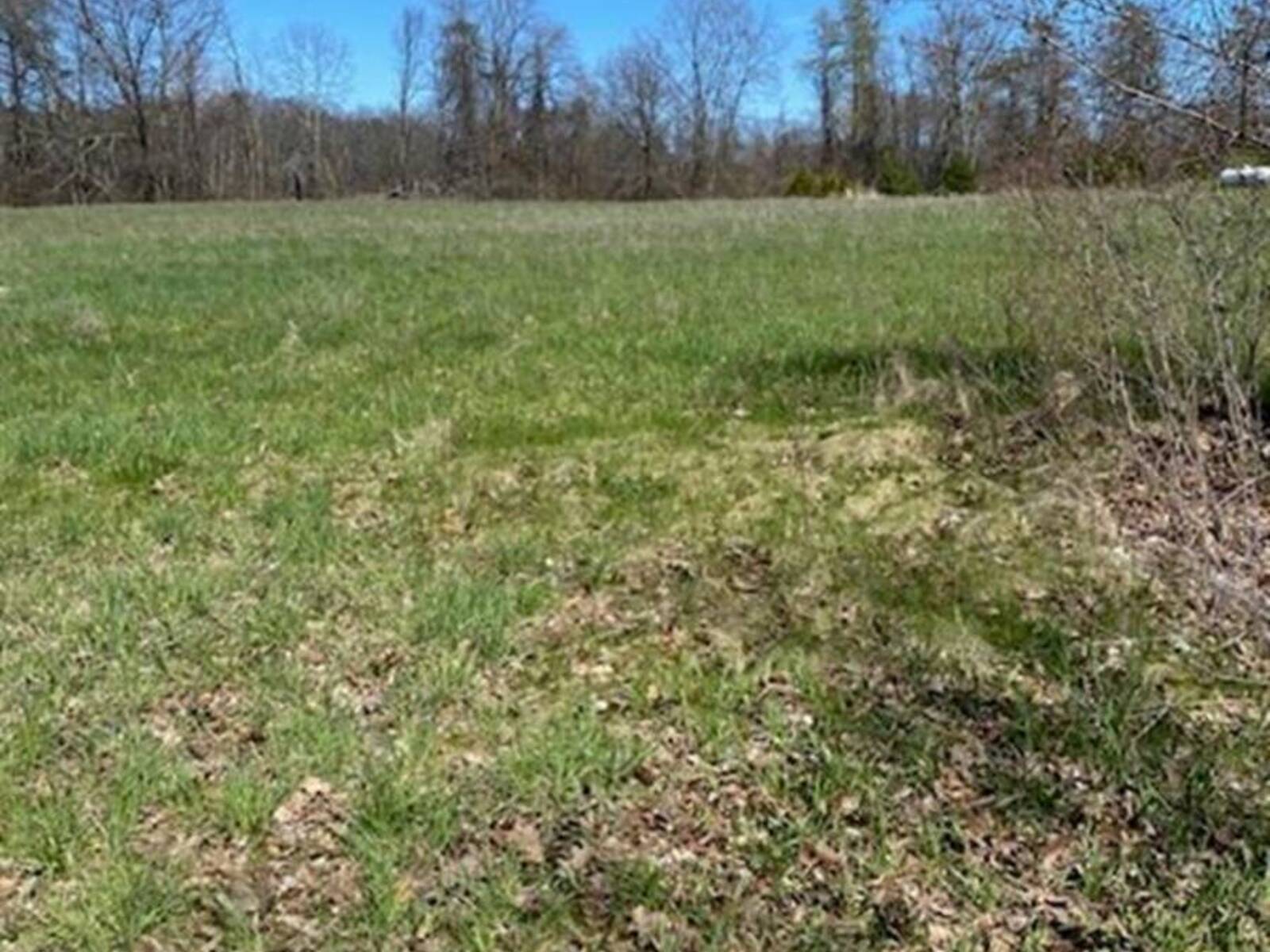 LOT # 15 YOUNGS POINT Road, Napanee, Ontario K0H 1G0