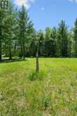 LOT 0, COUNTY ROAD 27 N/A | Stone Mills Ontario | Slide Image Thirty-six