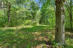 LOT 0, COUNTY ROAD 27 N/A | Stone Mills Ontario | Slide Image Five