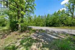 LOT 0, COUNTY ROAD 27 N/A | Stone Mills Ontario | Slide Image Forty