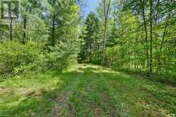 LOT 0, COUNTY ROAD 27 N/A | Stone Mills Ontario | Slide Image Thirty