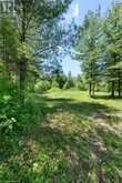 LOT 0, COUNTY ROAD 27 N/A | Stone Mills Ontario | Slide Image Forty-four