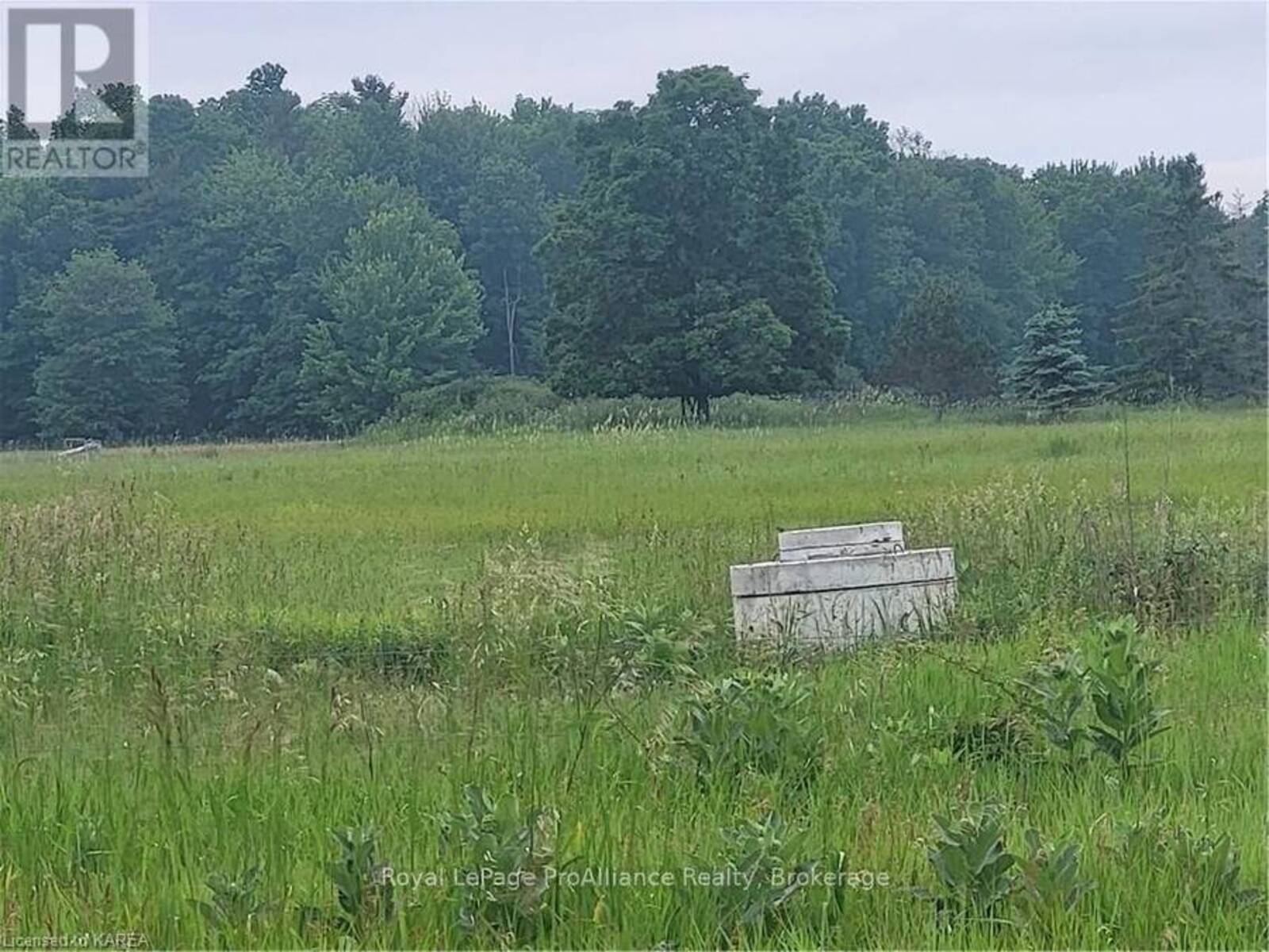 LOT 4 FRONT ROAD, Loyalist, Ontario K0H 2S0