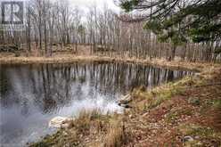 OLD SULPHIDE Road | Kaladar Ontario | Slide Image Twelve