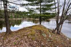 OLD SULPHIDE Road | Kaladar Ontario | Slide Image Fifteen