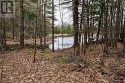 OLD SULPHIDE Road | Kaladar Ontario | Slide Image Twenty