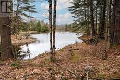 OLD SULPHIDE Road | Kaladar Ontario | Slide Image Twenty-one