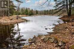 OLD SULPHIDE Road | Kaladar Ontario | Slide Image Twenty-two