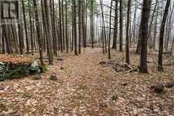 OLD SULPHIDE Road | Kaladar Ontario | Slide Image Twenty-five