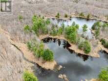 OLD SULPHIDE Road | Kaladar Ontario | Slide Image Five