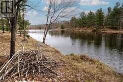 OLD SULPHIDE ROAD | Tweed Ontario | Slide Image Eleven