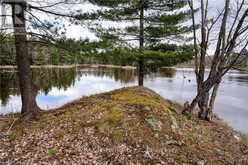 OLD SULPHIDE ROAD | Tweed Ontario | Slide Image Fifteen