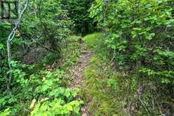 LT 25 UPPER RIDEAU LAKE | Westport Ontario | Slide Image Nine