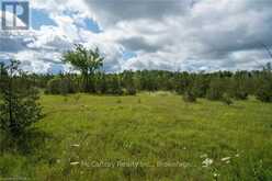 PART1 LOT 47 CONCESSION 2 COLEBROOK ROAD | Stone Mills Ontario | Slide Image Sixteen