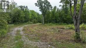 41 STONE HEDGE ROAD | Stone Mills Ontario | Slide Image Twenty