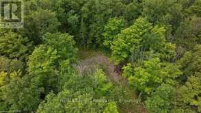 41 STONE HEDGE ROAD | Stone Mills Ontario | Slide Image Twenty-four